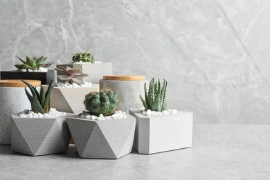 Beautiful succulent plants in stylish flowerpots on table against grey background, space for text. Home decor