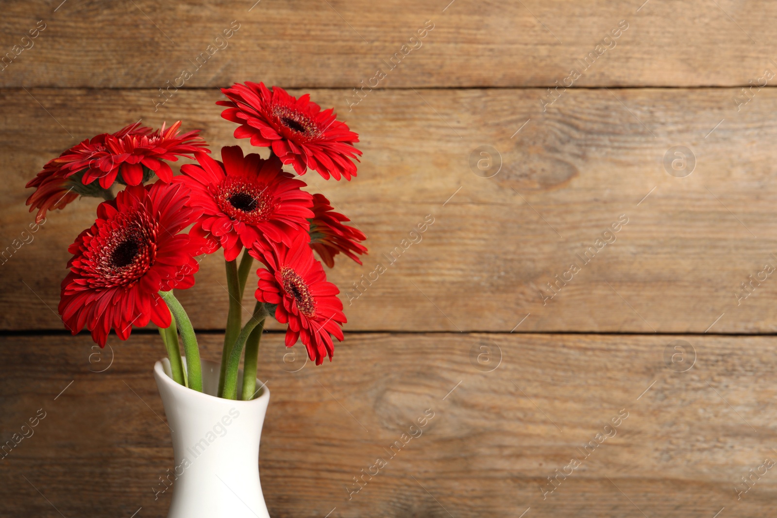 Photo of Bouquet of beautiful red gerbera flowers in ceramic vase on wooden background. Space for text