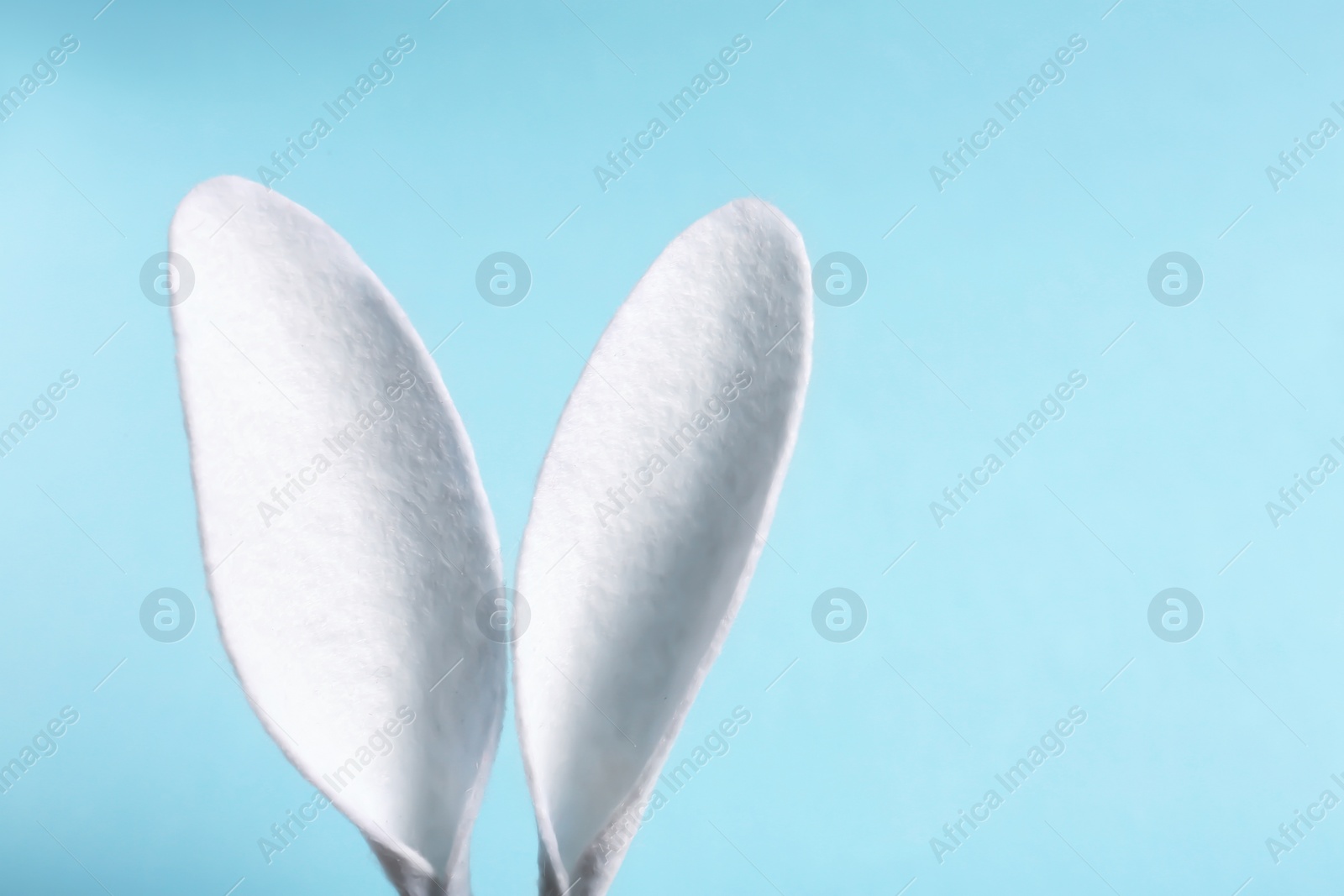 Photo of Easter bunny ears on color background. Space for text