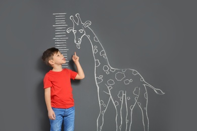 Cute little child playing with chalk drawn giraffe while measuring height on grey background