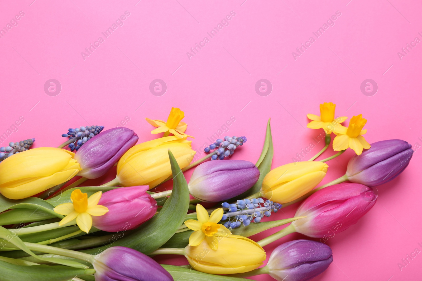 Photo of Beautiful different flowers on pink background, flat lay. Space for text