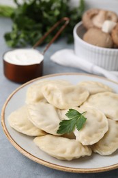 Photo of Delicious dumplings (varenyky) with tasty filling and parsley on light grey table, closeup