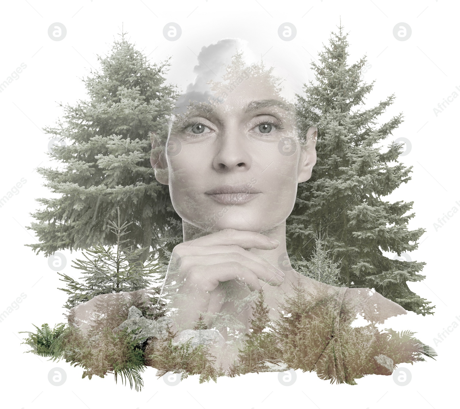 Image of Double exposure of pretty woman and conifer trees on white background. Beauty of nature