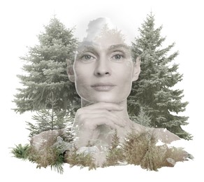 Image of Double exposure of pretty woman and conifer trees on white background. Beauty of nature