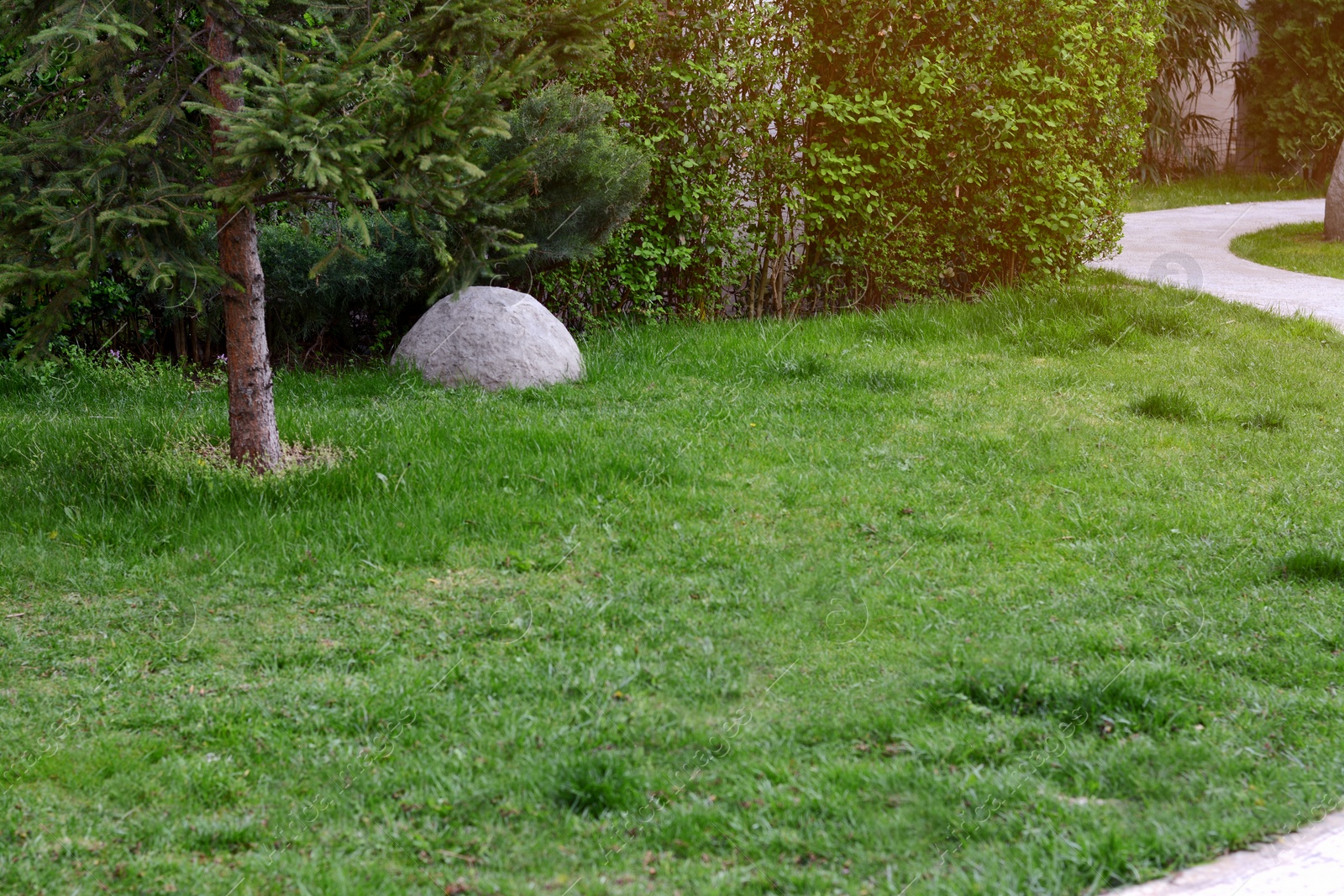 Photo of View of green lawn and plants in park