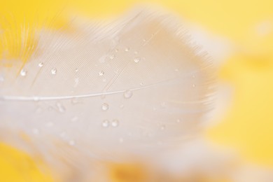 Photo of Fluffy feathers with water drops on yellow background, closeup
