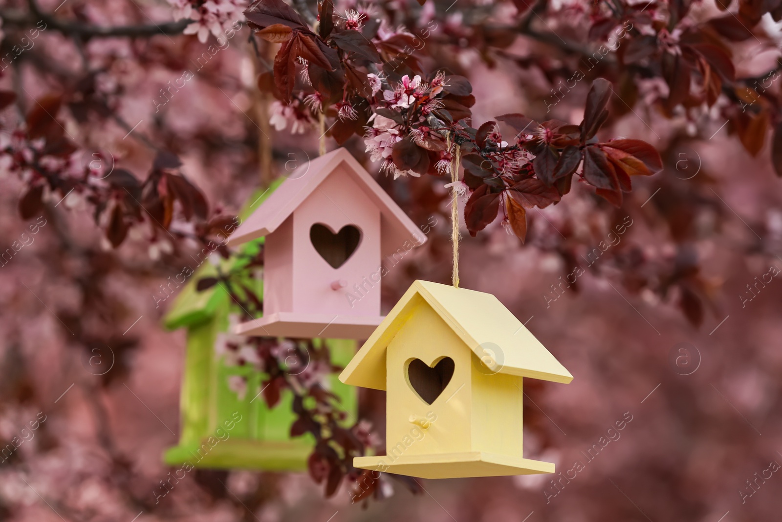 Photo of Different wooden bird houses hanging from tree outdoors