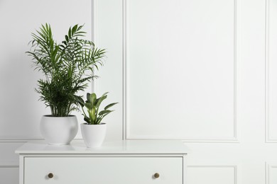 Photo of Different houseplants in pots on chest of drawers near white wall, space for text