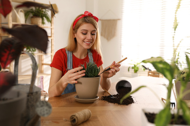 Young woman potting succulent plant at home. Engaging hobby