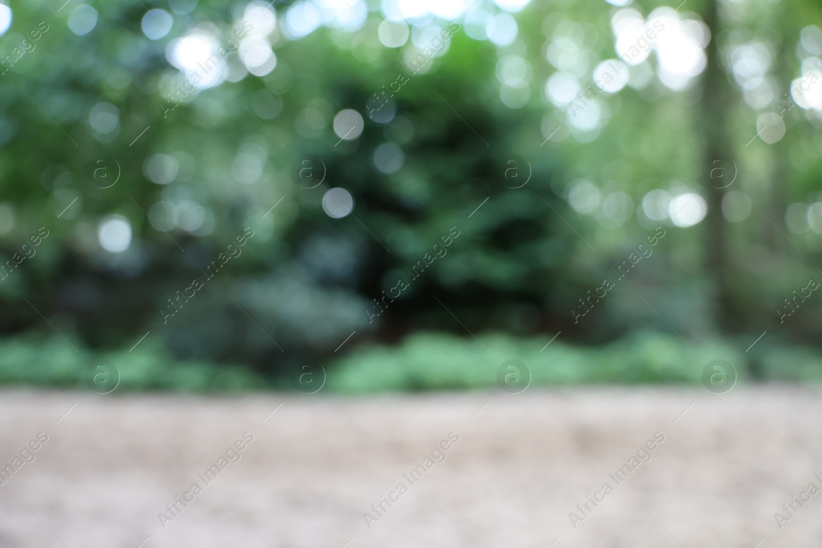 Photo of Blurred view of green trees in forest