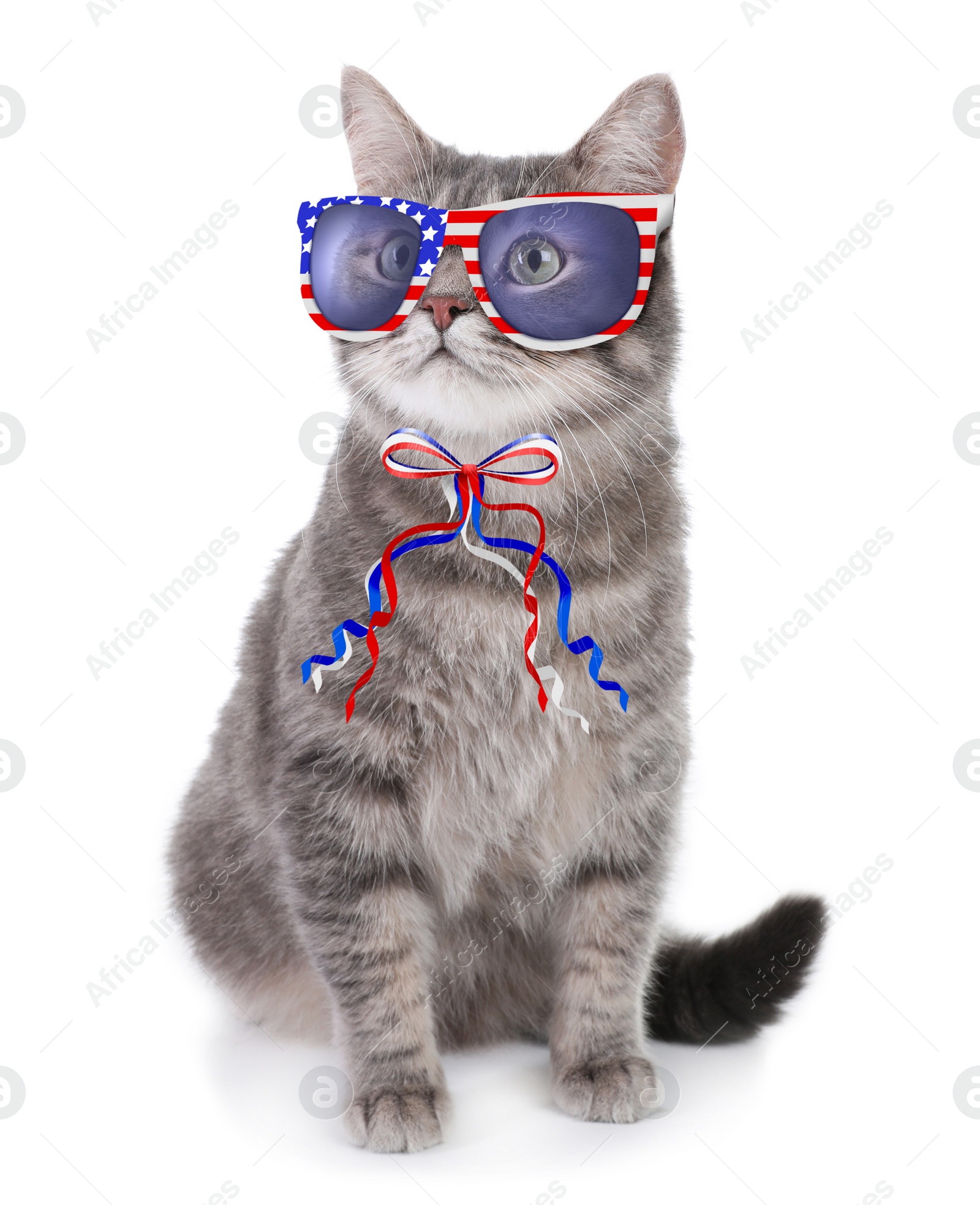 Image of Cute cat with sunglasses and bow on white background. Concept of federal holidays in USA