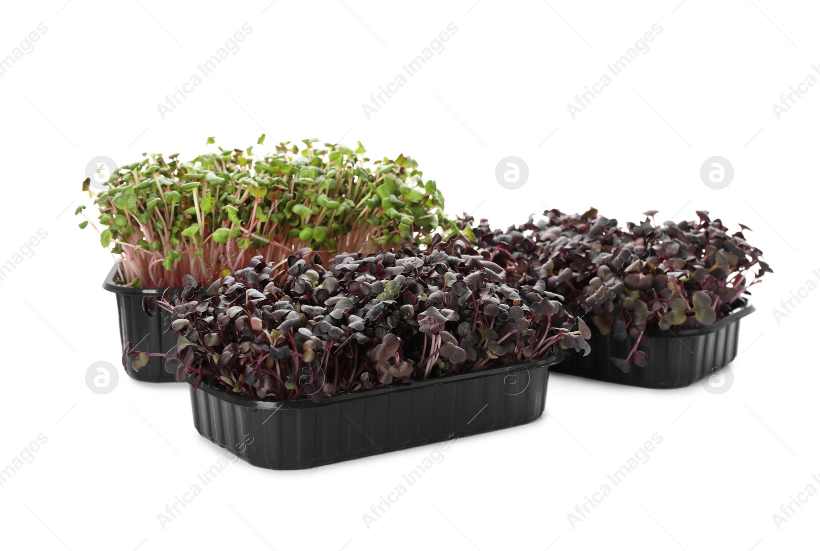 Photo of Fresh radish microgreens in plastic containers on white background