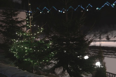 Photo of Fir tree with Christmas lights and snow outdoors