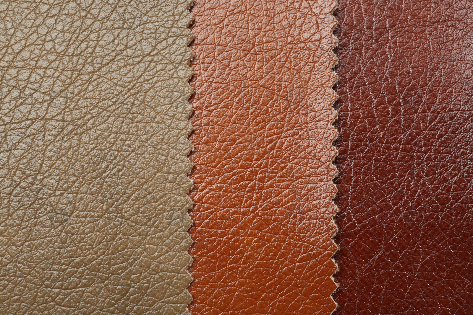 Photo of Texture of different leather as background, top view