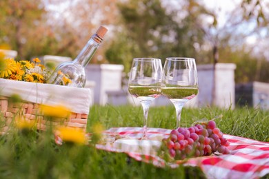 Glasses of white wine and snacks for picnic served on blanket near apiary