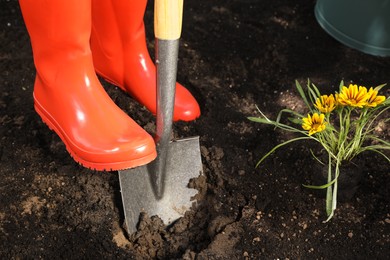 Photo of Woman digging soil with shovel outdoors, closeup. Gardening time