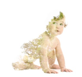 Image of Double exposure of cute little child and green tree on white background