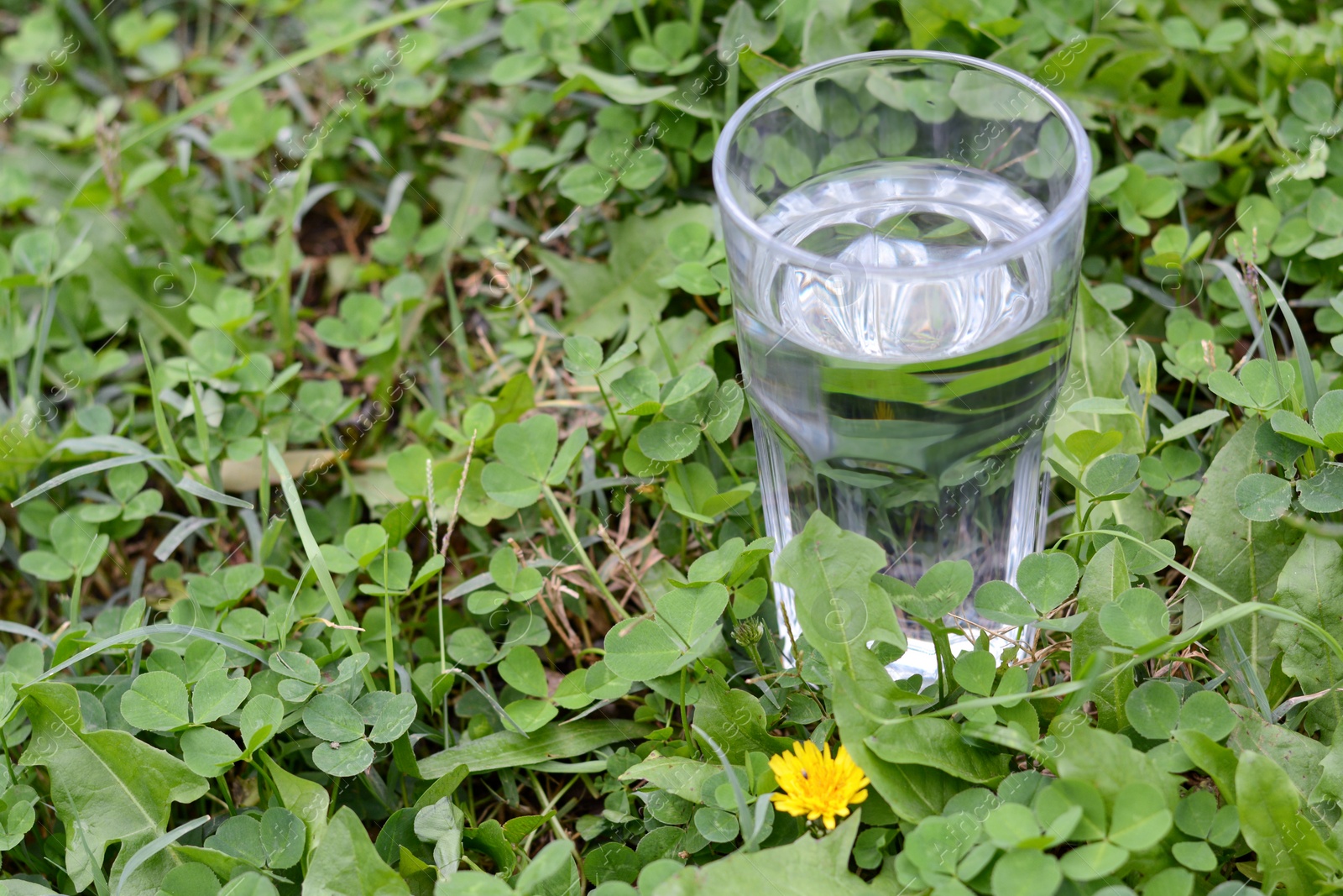 Photo of Glass with pure water in green grass outdoors, space for text