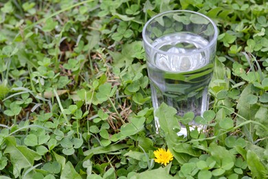 Glass with pure water in green grass outdoors, space for text