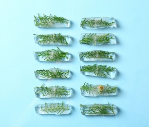 Ice cubes with branches of conifer tree on light blue background, flat lay