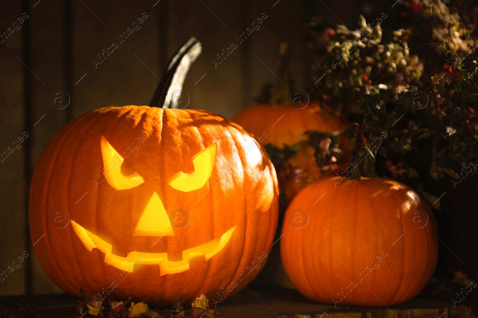 Photo of Scary jack o'lantern pumpkin on wooden bench in darkness. Halloween decor