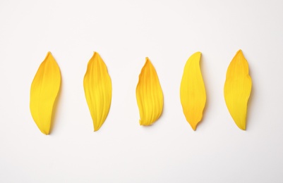 Photo of Fresh yellow sunflower petals isolated on white, top view