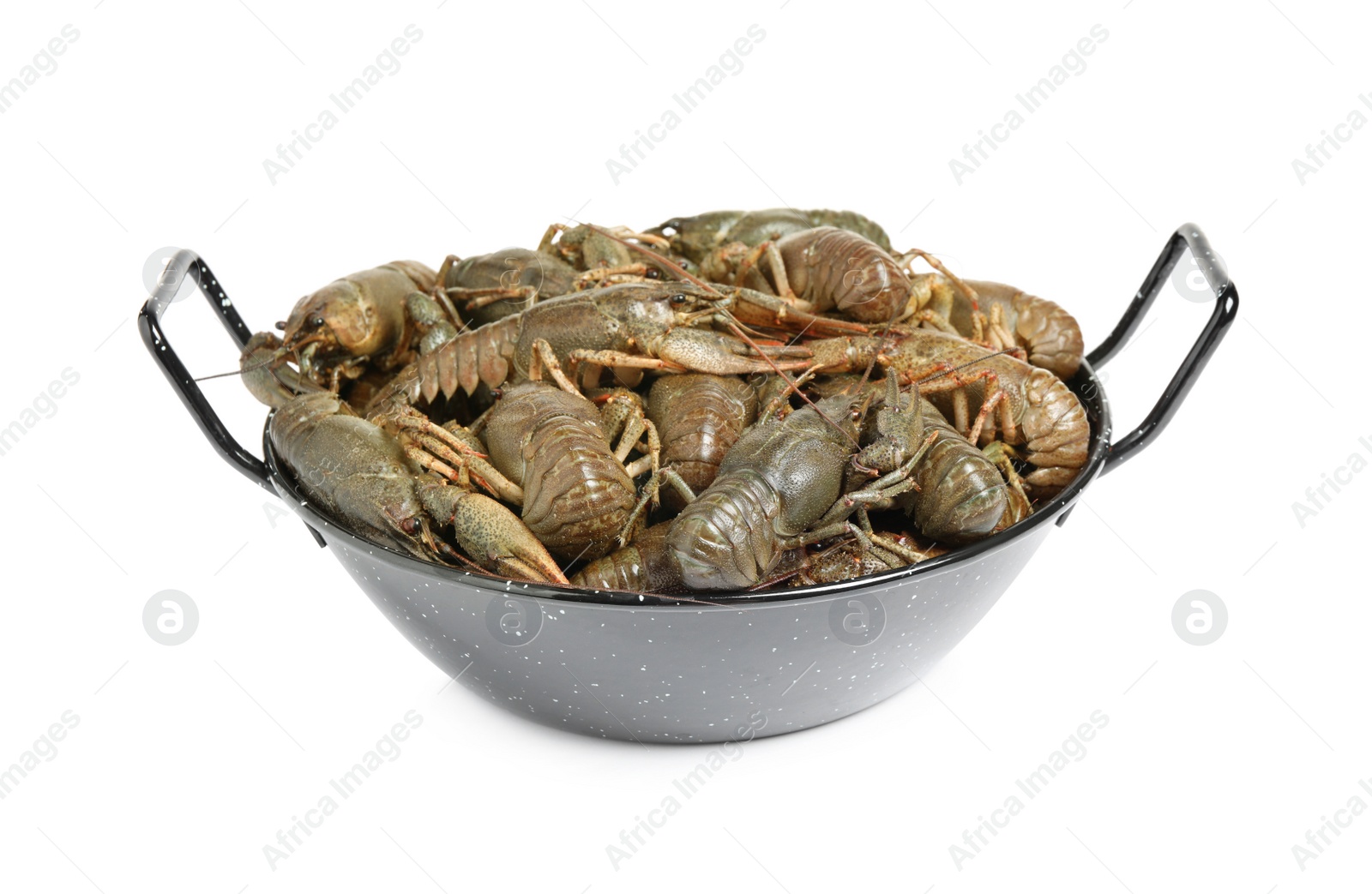 Photo of Fresh raw crayfishes isolated on white. Healthy seafood