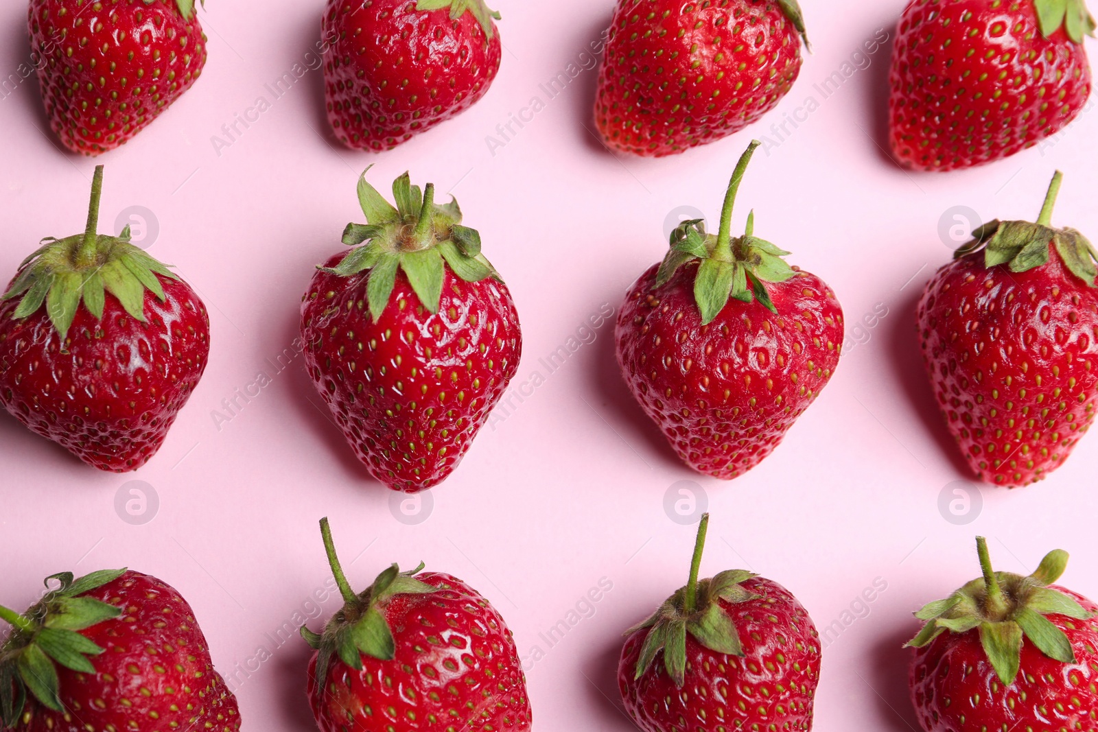 Photo of Tasty ripe strawberries on pink background, flat lay