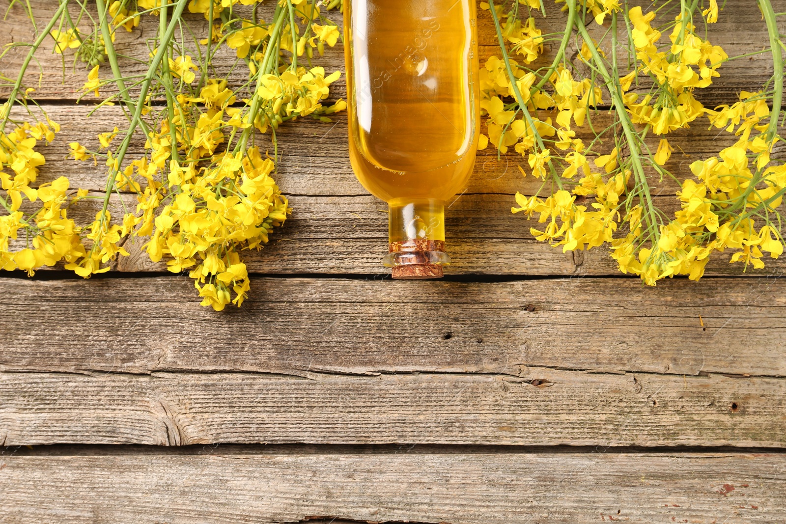 Photo of Rapeseed oil in glass bottle and beautiful yellow flowers on wooden table, flat lay. Space for text