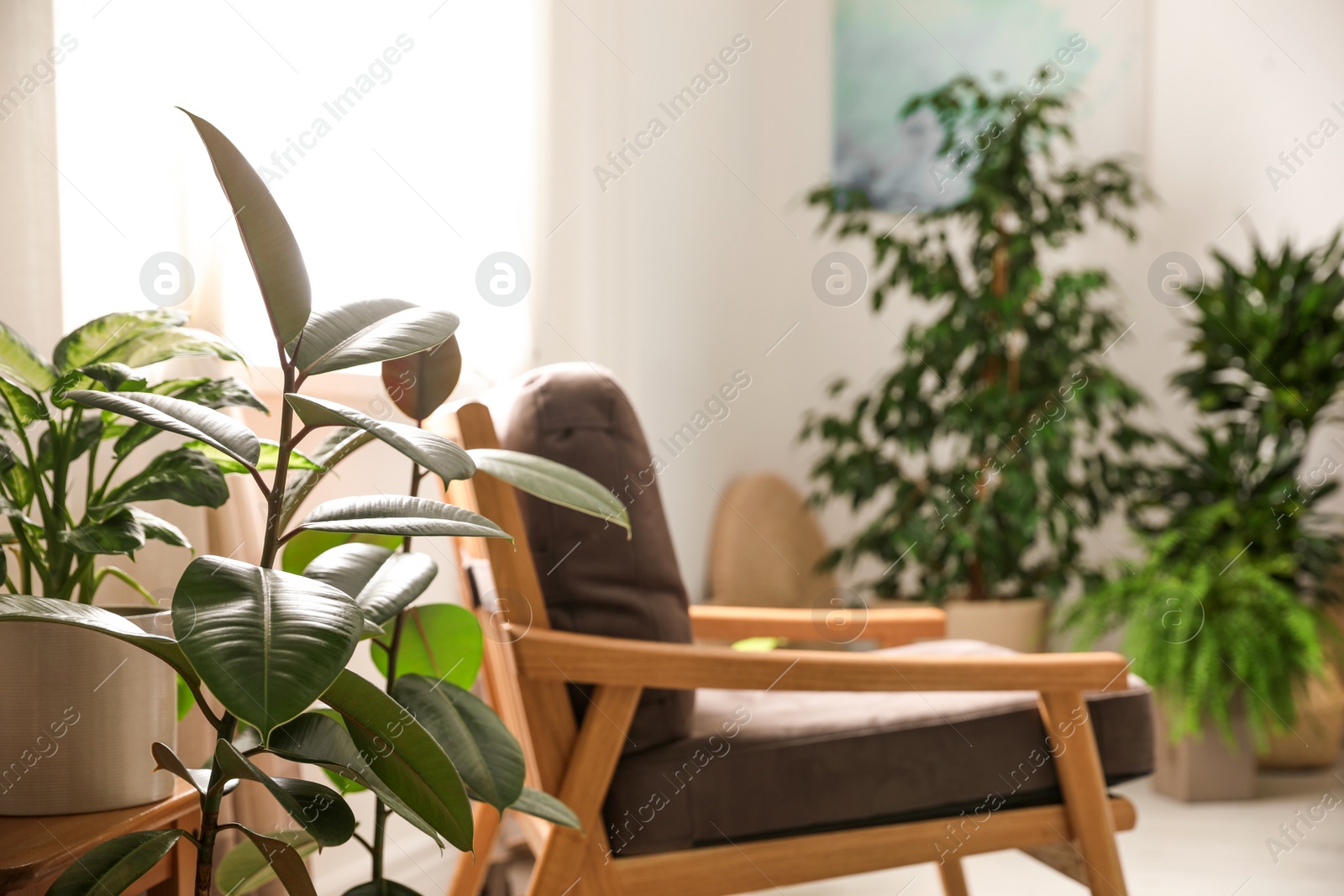 Photo of Green plants in stylish room. Home design ideas