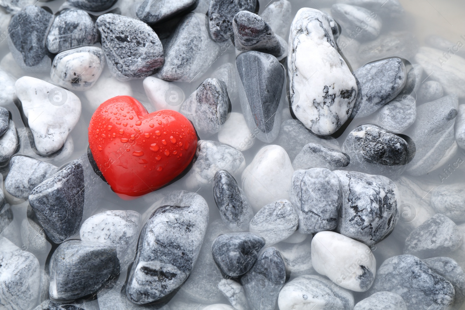 Photo of Red decorative heart on stones and water, top view. Space for text