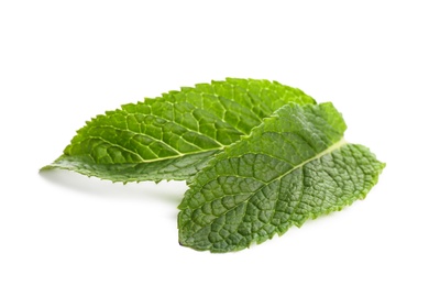 Fresh green mint leaves on white background