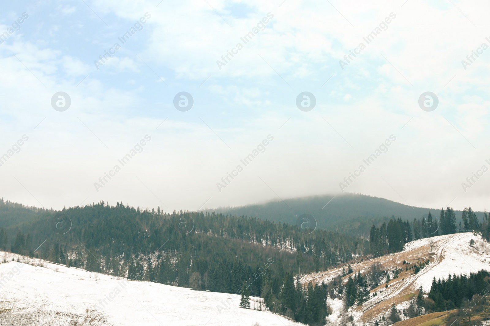 Photo of Beautiful winter landscape with forest on snowy hills