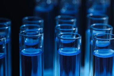Photo of Test tubes with blue reagents, closeup. Laboratory analysis