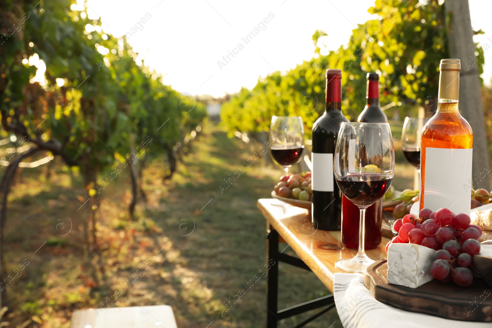 Photo of Red wine and snacks served for picnic on wooden table outdoors. Space for text