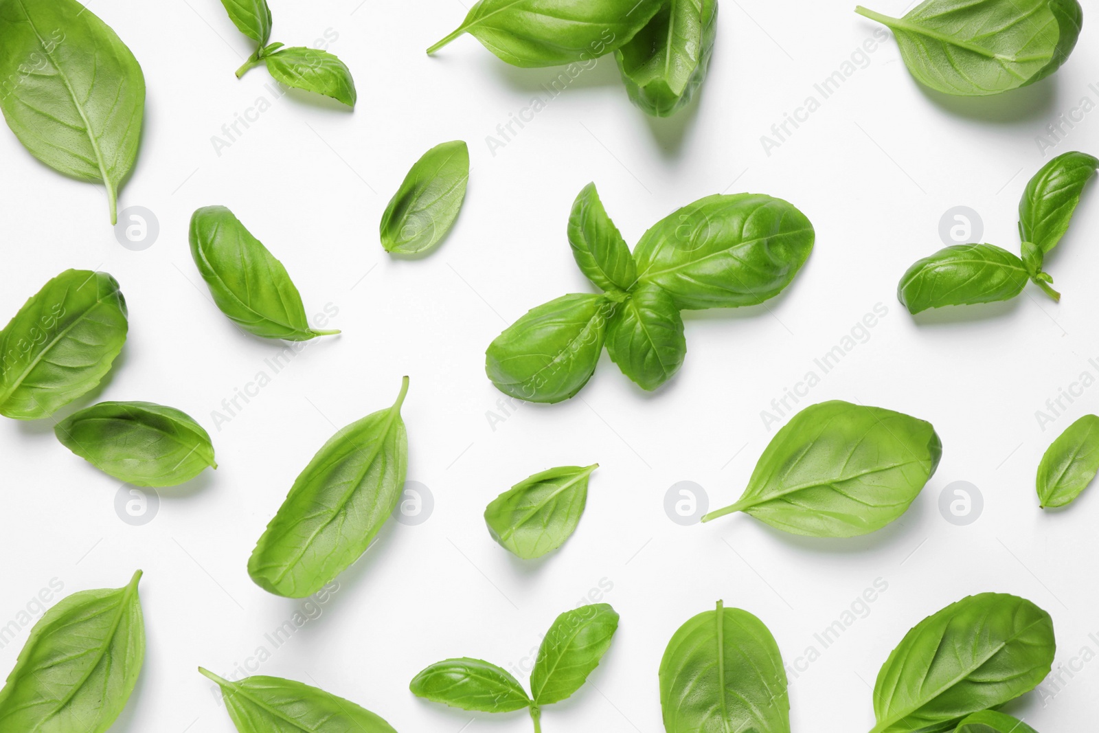 Photo of Fresh green basil leaves on white background, top view