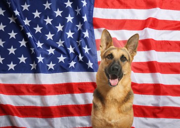 Image of Adorable dog against national flag of United States of America