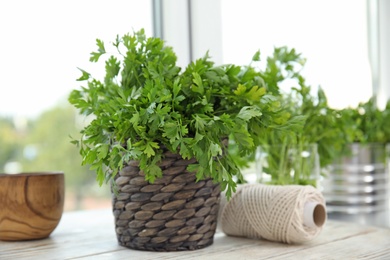 Wicker pot with fresh green parsley on window sill