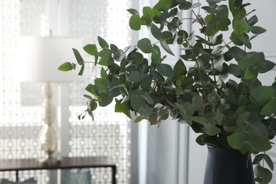 Photo of Eucalyptus branches in vase indoors, space for text. Interior design