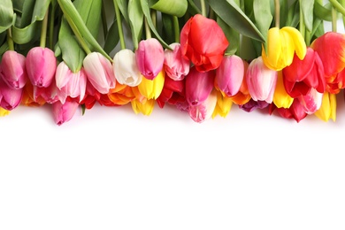 Photo of Beautiful bright tulips on white background, top view. Spring flowers