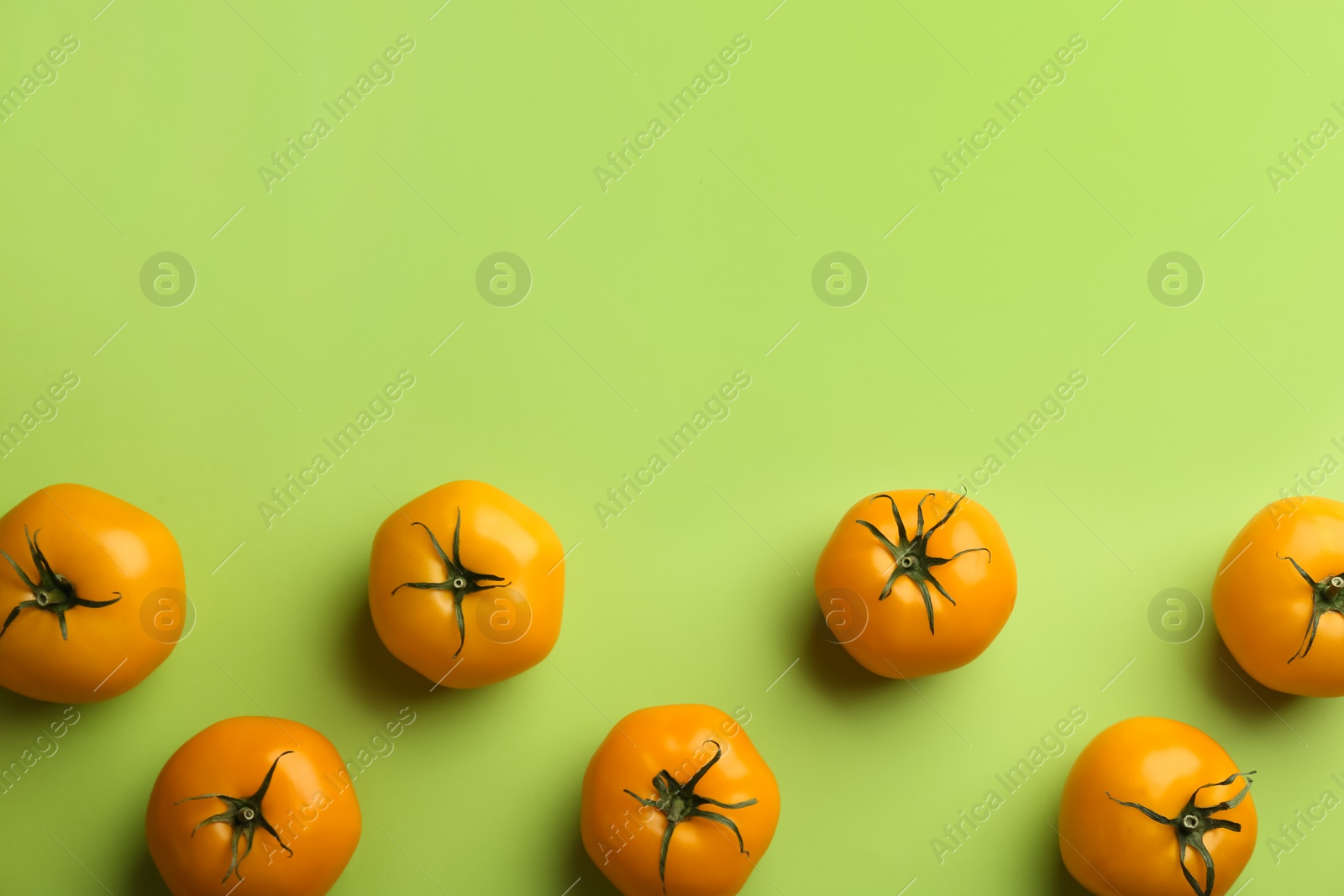 Photo of Yellow tomatoes on green background, flat lay. Space for text