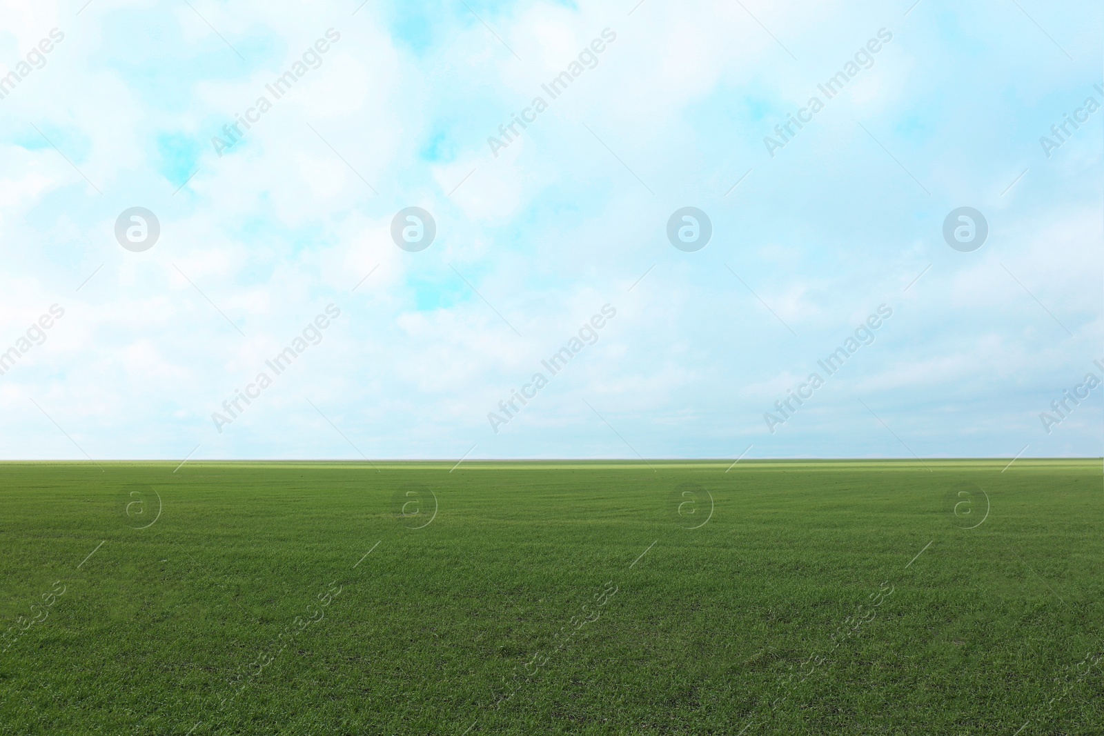 Photo of Picturesque view of beautiful countryside landscape with green grass