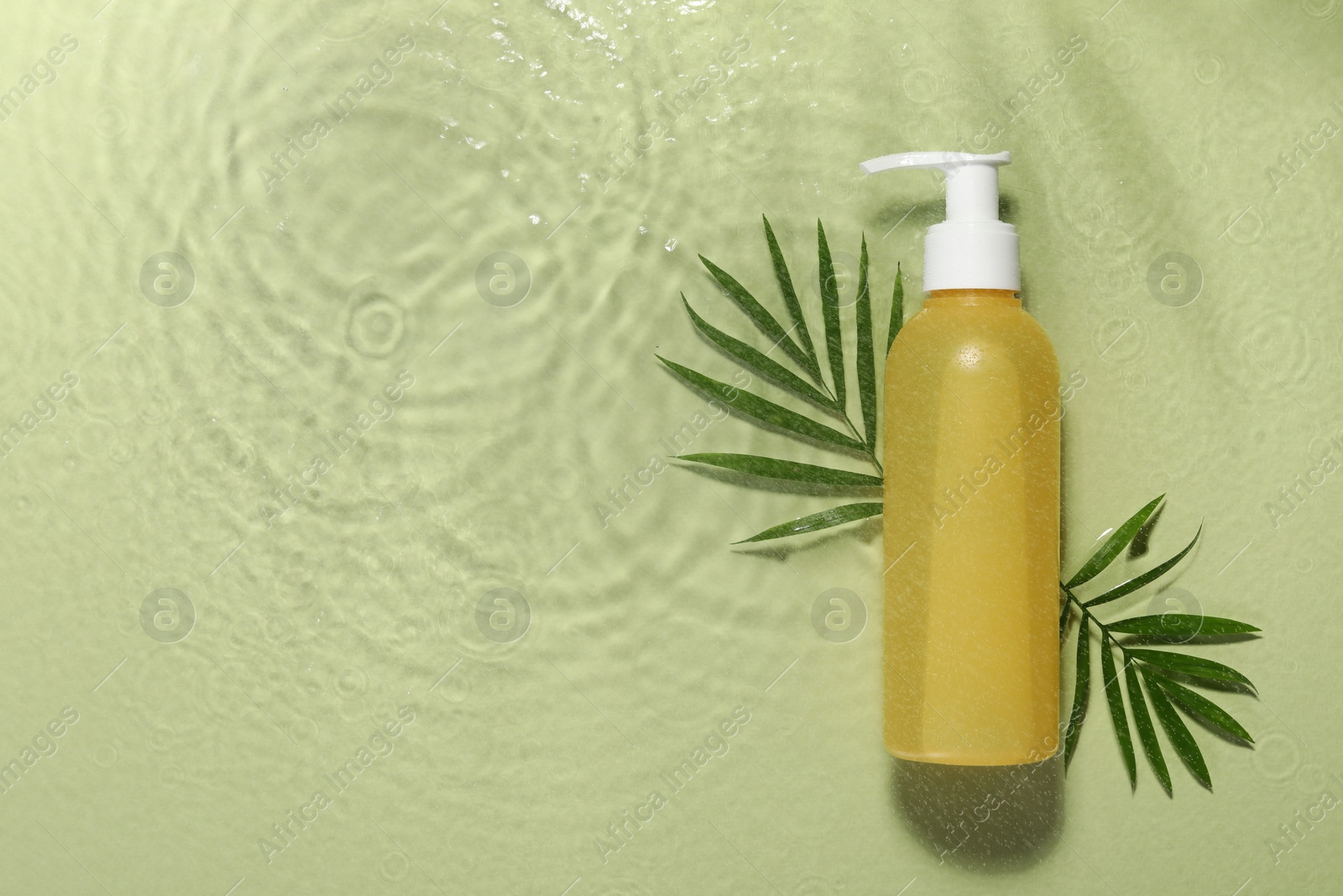 Photo of Bottle of facial cleanser and leaves in water against olive background, flat lay. Space for text