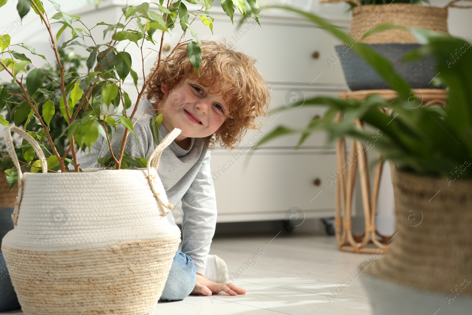 Photo of Cute little boy near beautiful green plants on floor at home. House decor