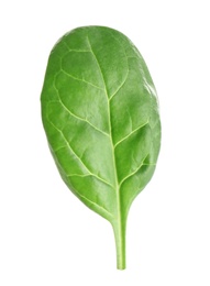 Photo of Fresh green leaf of healthy baby spinach on white background