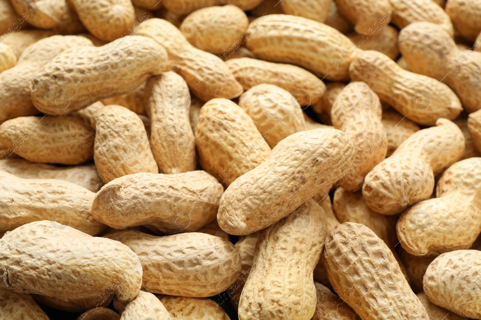 Photo of Many fresh unpeeled peanuts as background, closeup