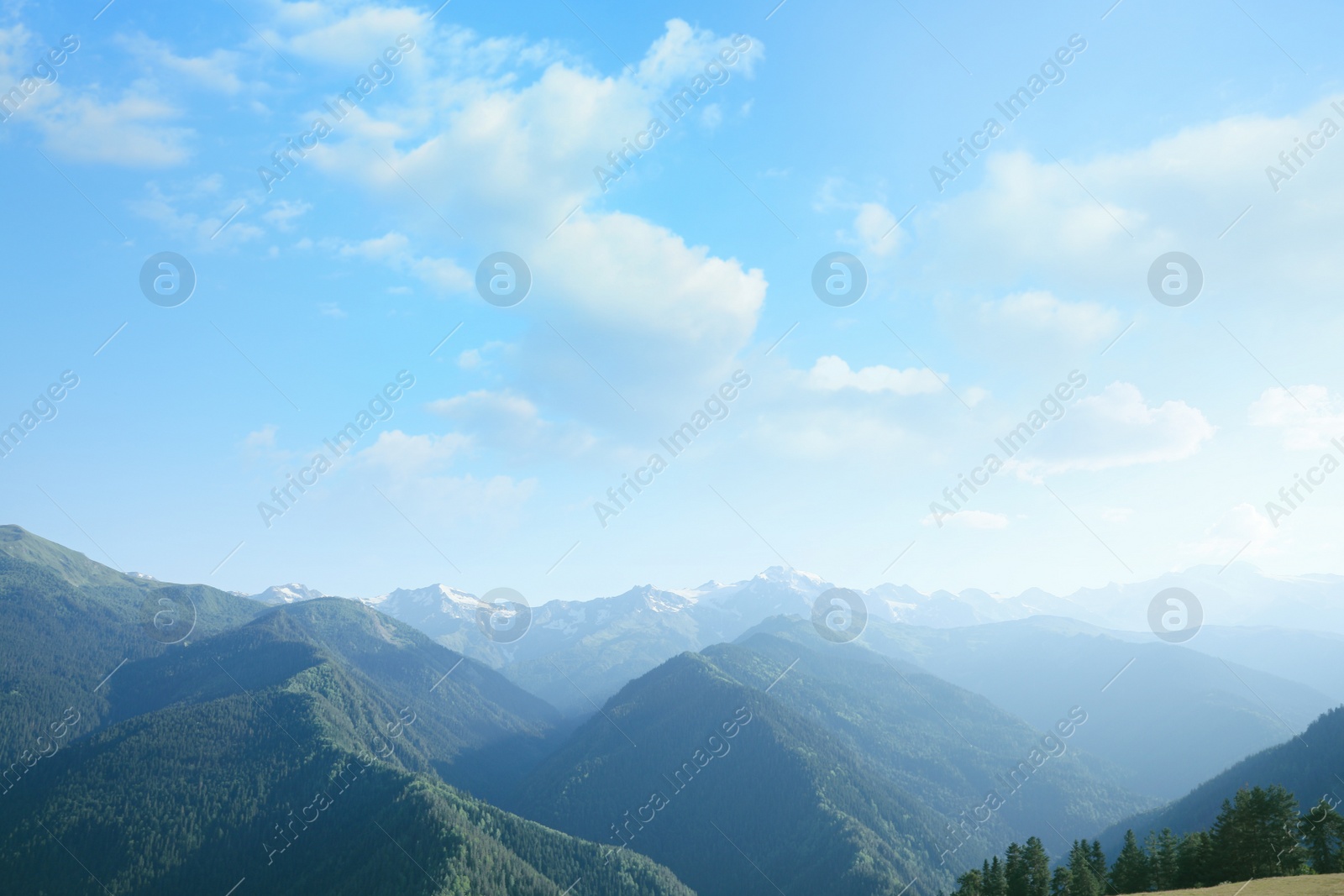 Photo of Aerial view of beautiful landscape with mountain forest on sunny day