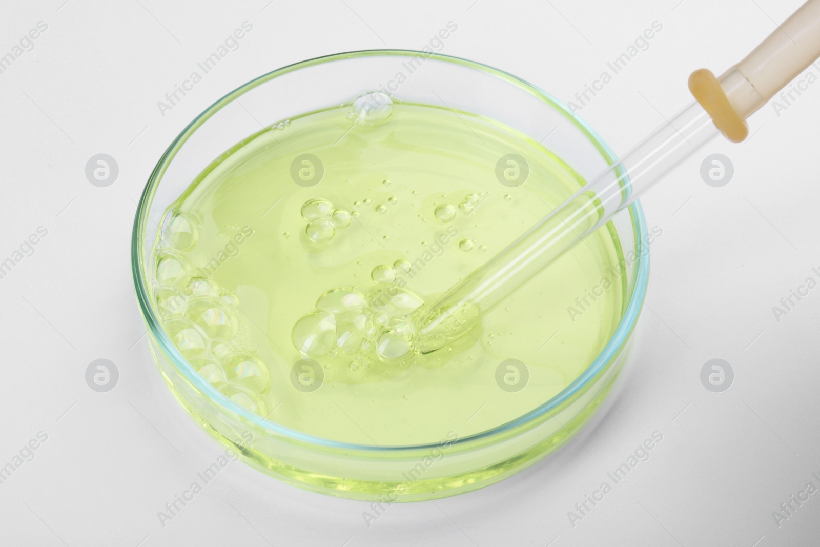 Photo of Petri dish with liquid sample and pipette on white background