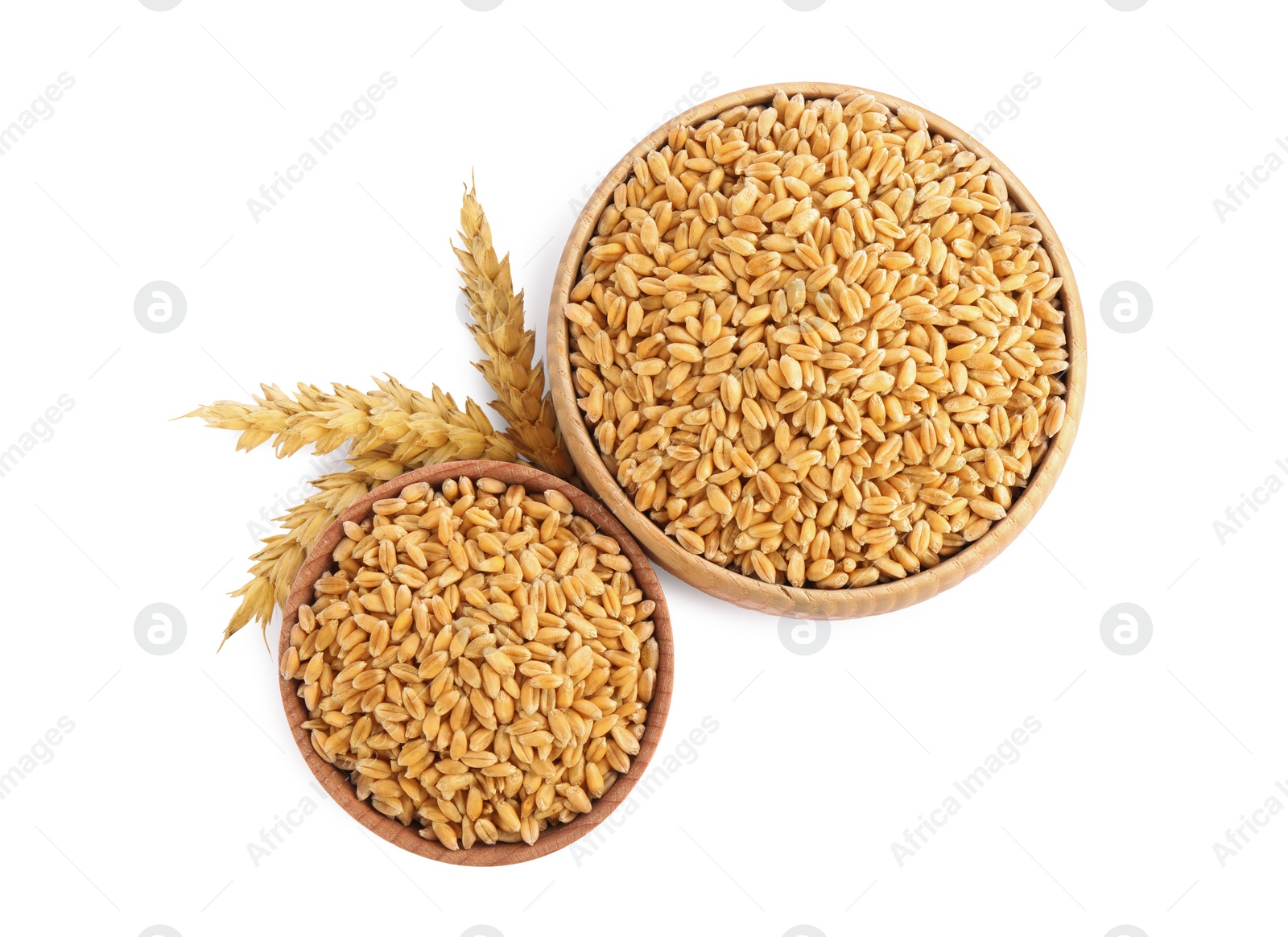 Photo of Wooden bowls with wheat grains and spikes on white background, top view