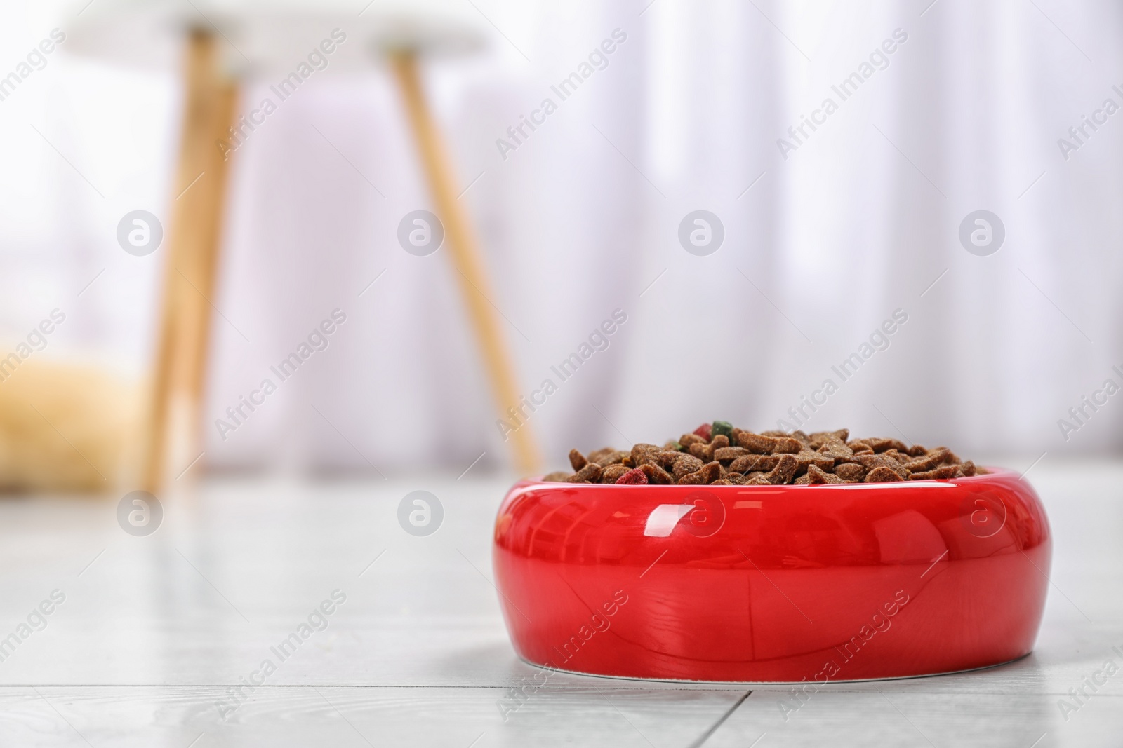 Photo of Bowl with food for cat or dog on floor. Pet care